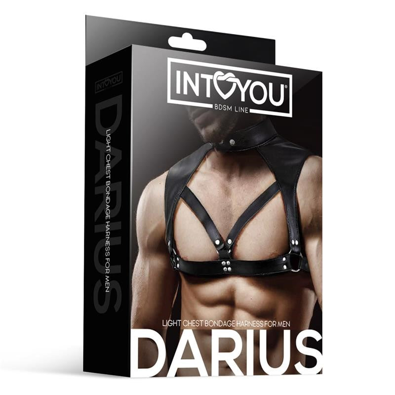 INTOYOU Brustgeschirr Darius